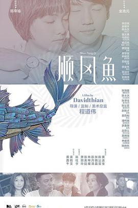 完结完整版观看