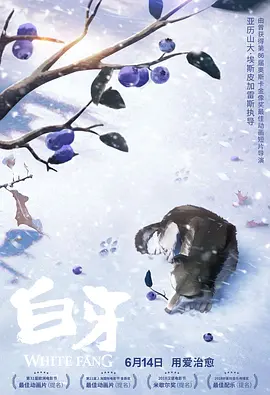 1080P未删减版在线观看