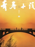 蓝光压制