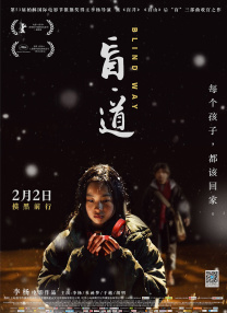 完结完整版观看