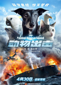 1080HD手机在线观看