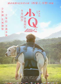 字幕全集免费观看