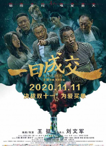 手机免费播放